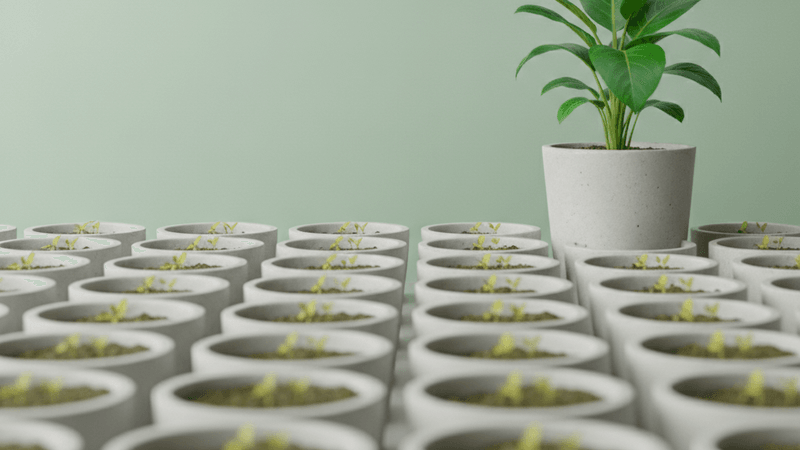 Stop Blending In: How to Stand Out and Get Chosen in Saturated Markets cover