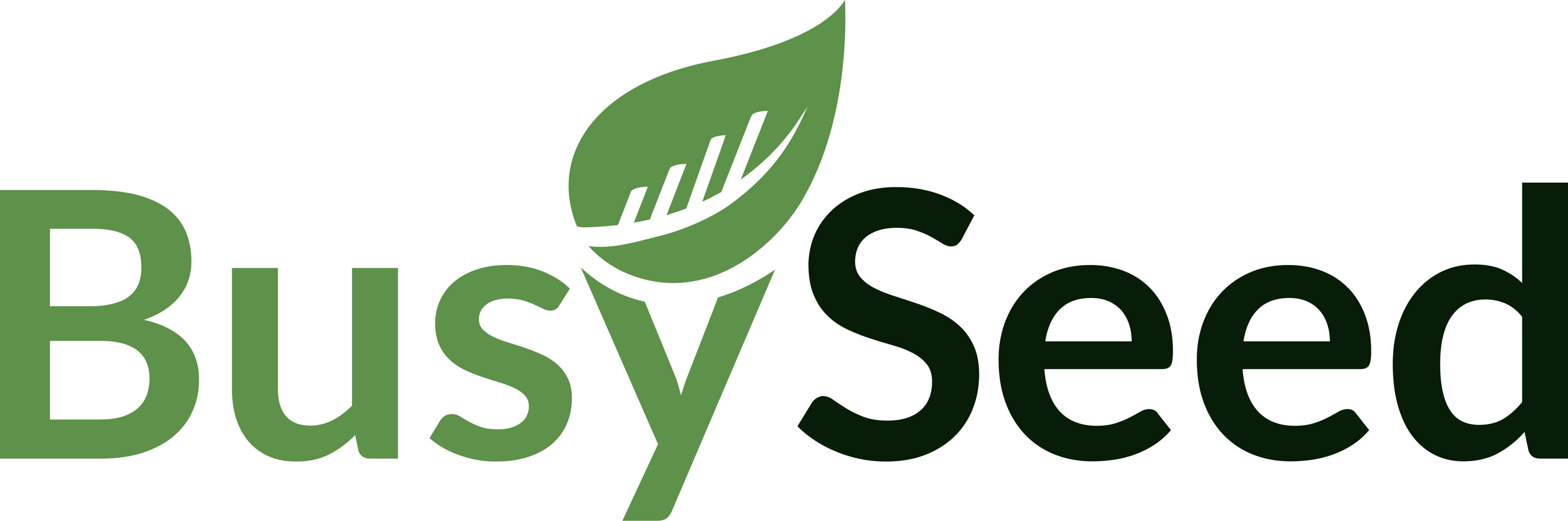 BusySeed